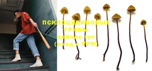шишки Нефтекумск