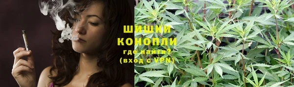 spice Вяземский