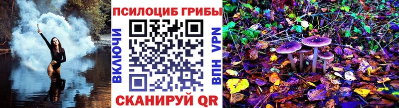Псилоцибиновые грибы Magic Shrooms  Севск 