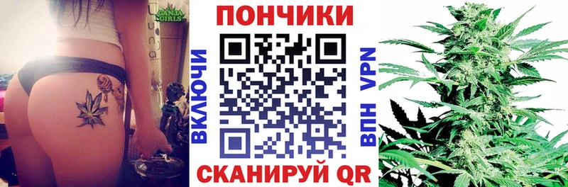 где купить наркотик  Севск  Бошки Шишки семена 